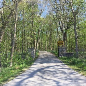 Summer Hike: Humiston Woods Nature Preserve
